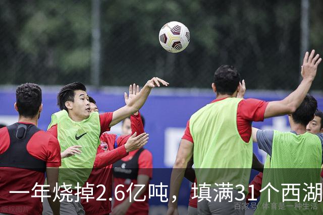 一年烧掉2.6亿吨,填满31个西湖!中国的垃圾,不够烧了?