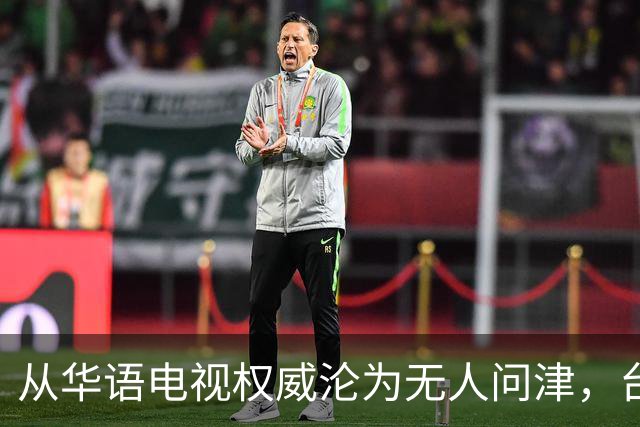 从华语电视权威沦为无人问津，台湾金钟奖，只剩仔仔和深V撑场面