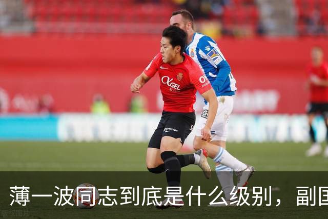 薄一波同志到底是什么级别,副国级?还是正国级?